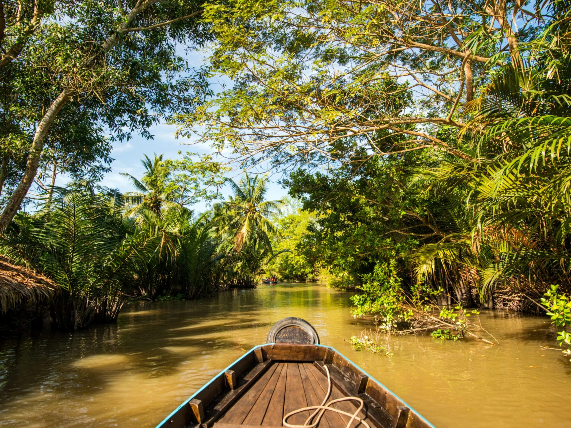 delta Mekongu, Wietnam