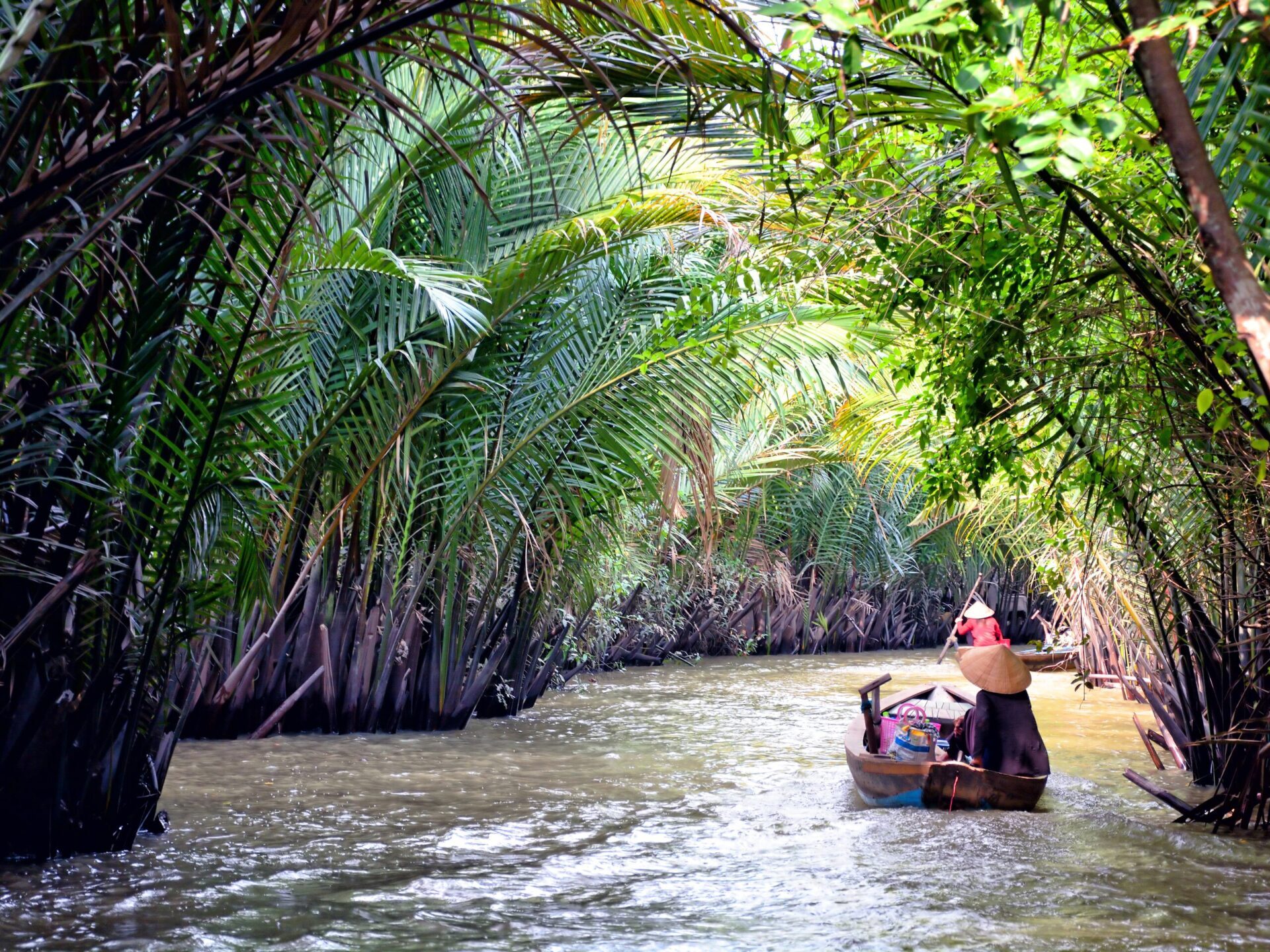 mekong delta