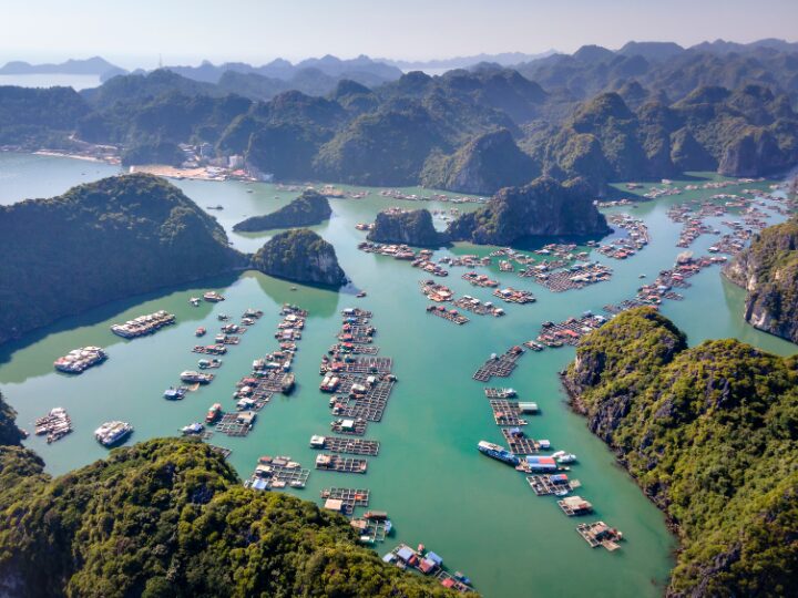zatoka ha long