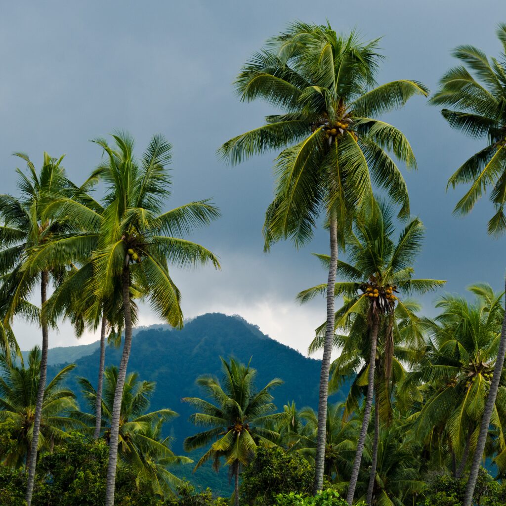 Indonezja pogoda