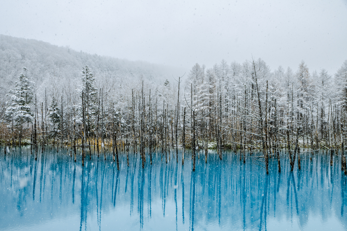 Hokkaido japonia