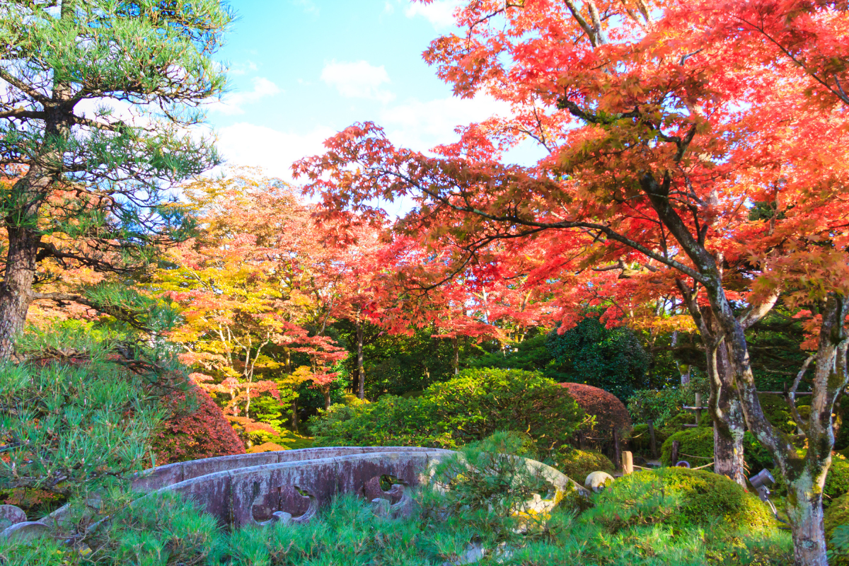 jesień japonia