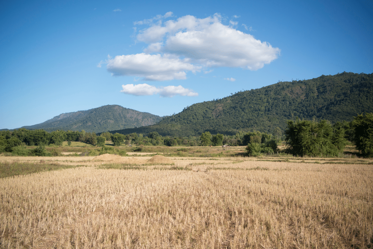 Phonsavan Laos