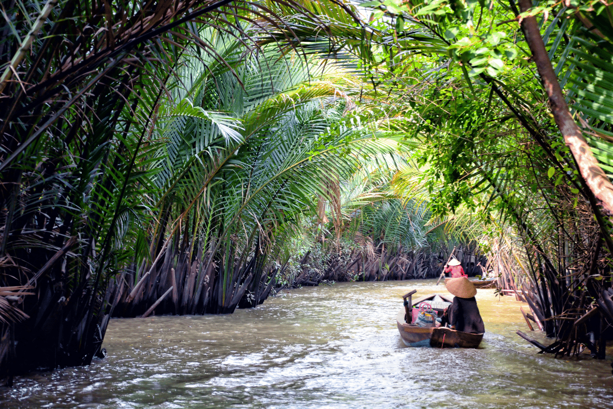 Delta Mekongu, wietnam