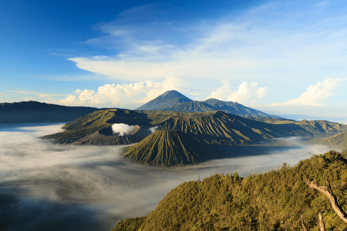 Jawa Indonezja