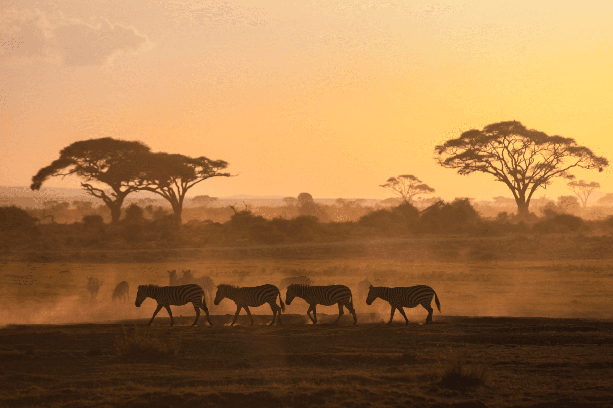 Kenia