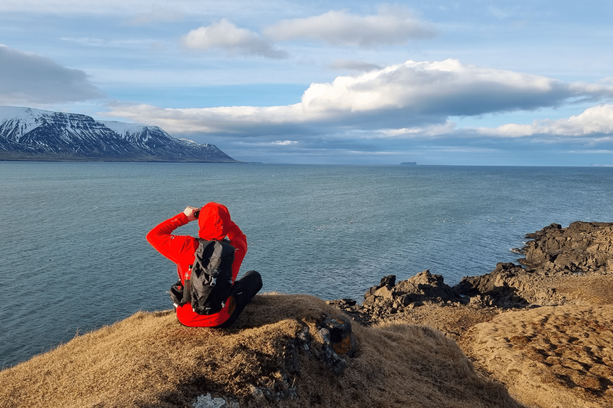 Islandia na własną rękę